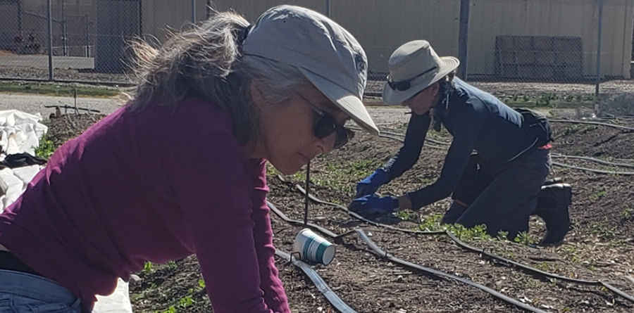 photo of two people working on a farm